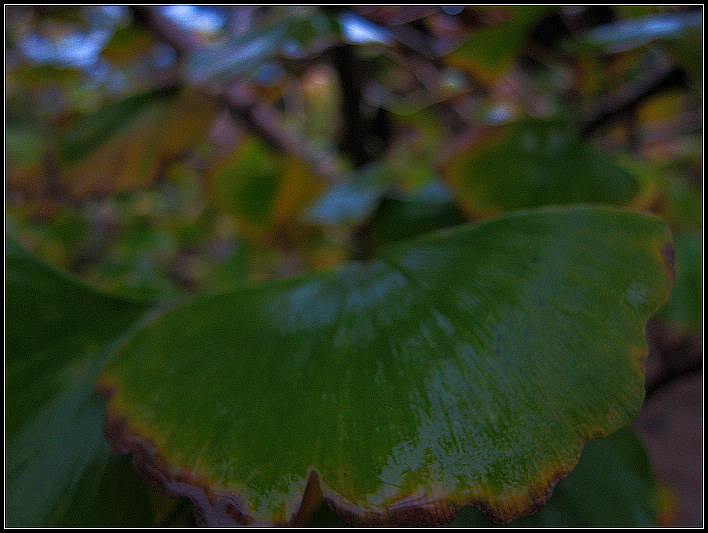 IMG_0022a.jpg