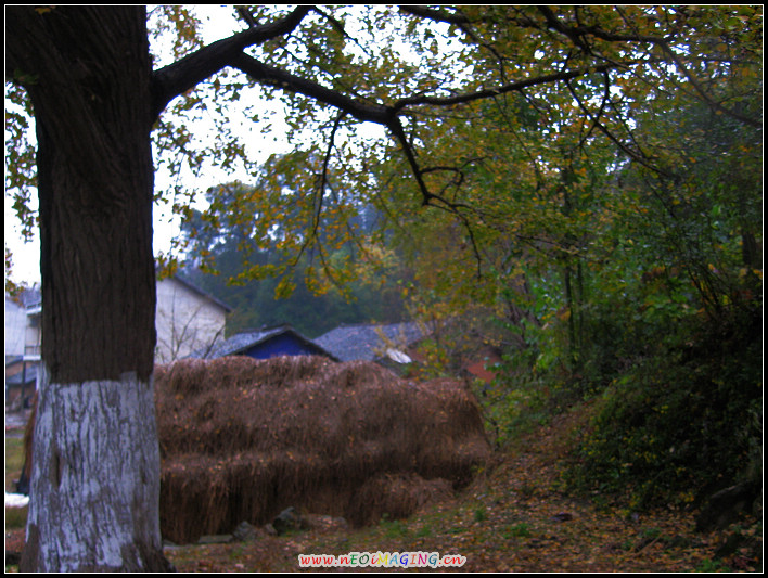 IMG_0059a.jpg