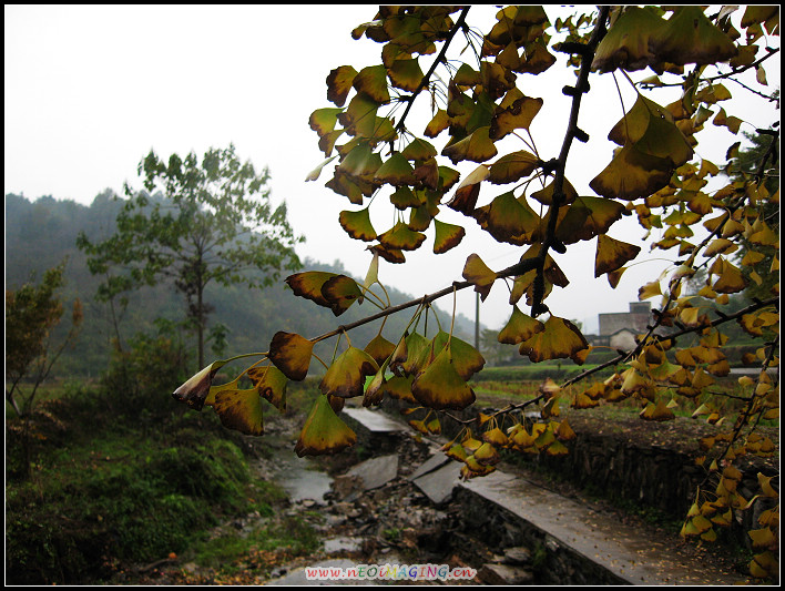 IMG_0073a.jpg