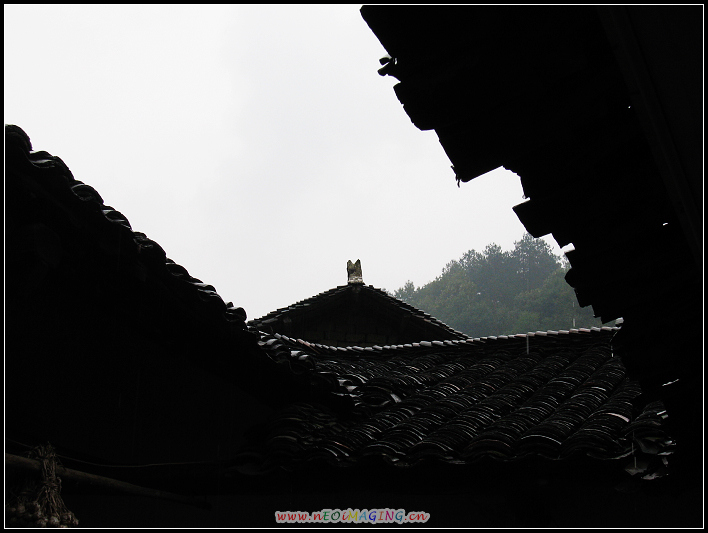 IMG_0047a.jpg