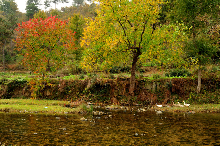 DSC_1881A.jpg