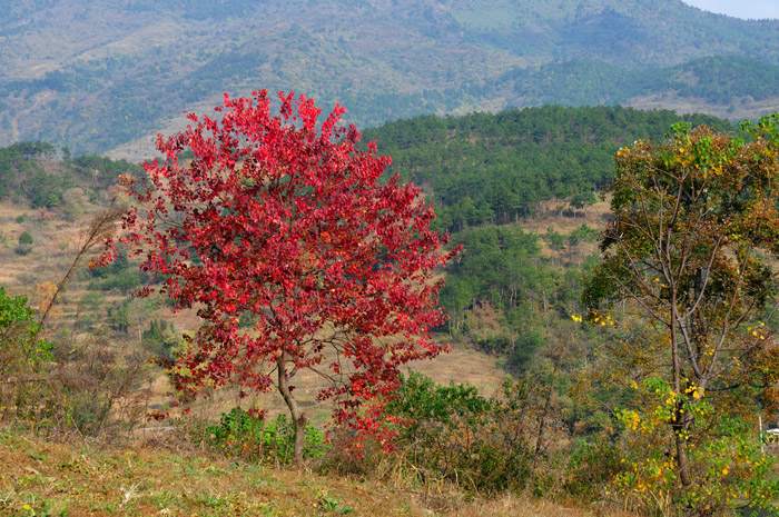 DSC_1497A.jpg