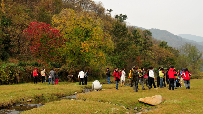 DSC_1924A.jpg