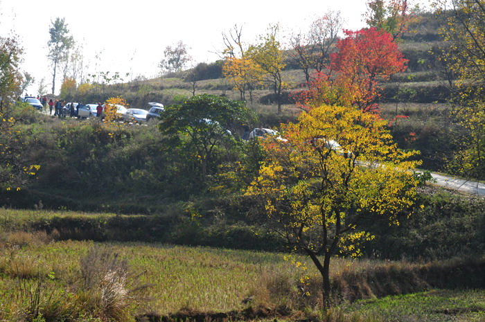 DSC_1435.jpg