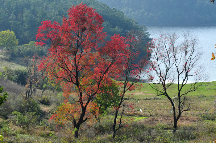 DSC_1463.JPG