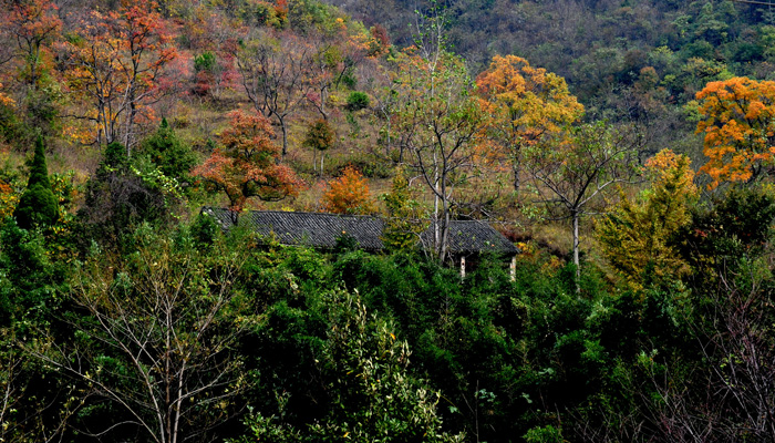 DSC_1947A.jpg