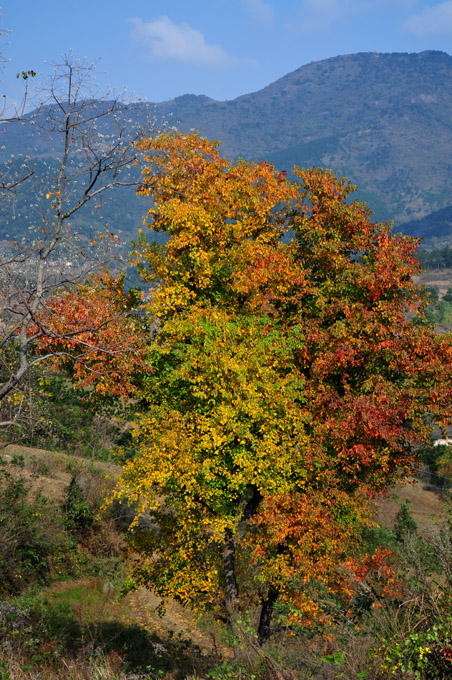 DSC_1488.JPG