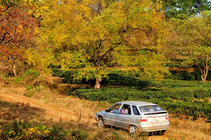 DSC_1527.jpg