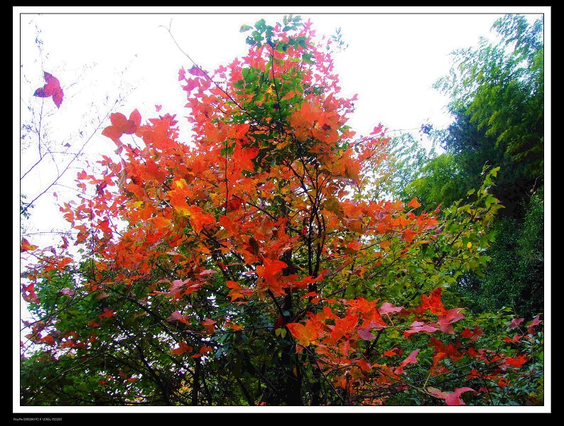 DSCF3319.jpg