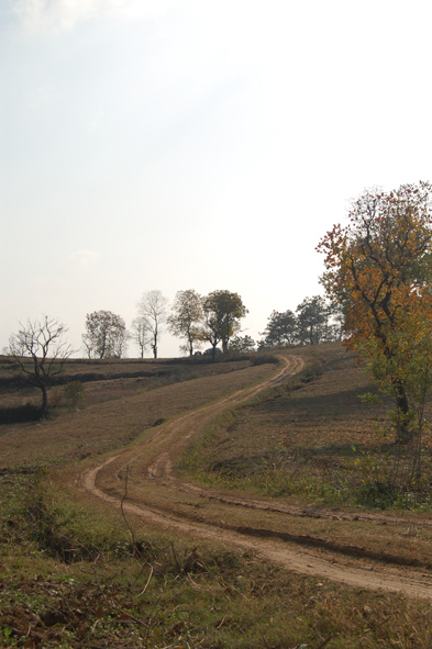 DSC_0078.jpg