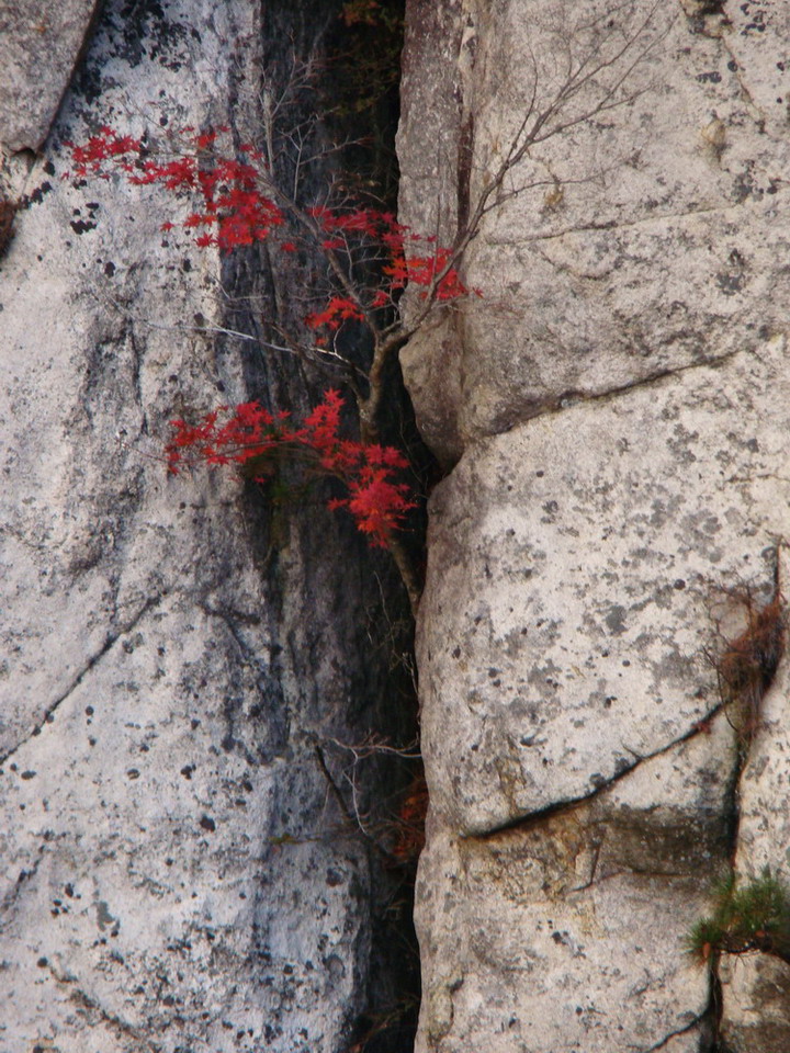 DSC01607.JPG