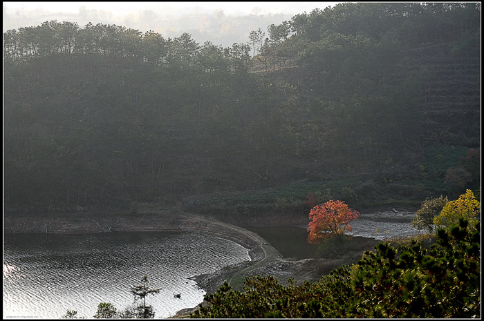DSC_1631N.jpg