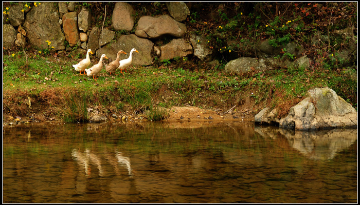 DSC_1877N.jpg