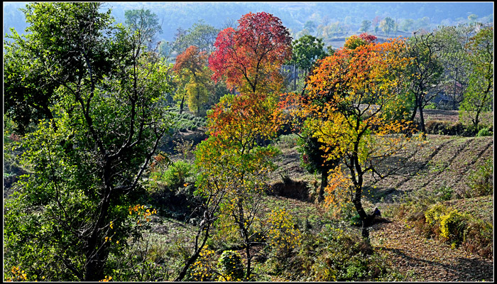 DSC_1568N.jpg