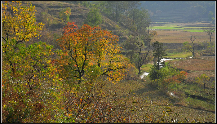 DSC_1578N.jpg