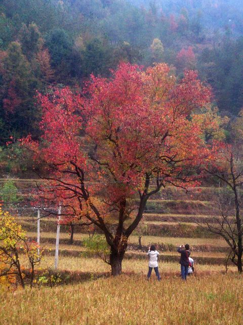 100_2450.JPG
