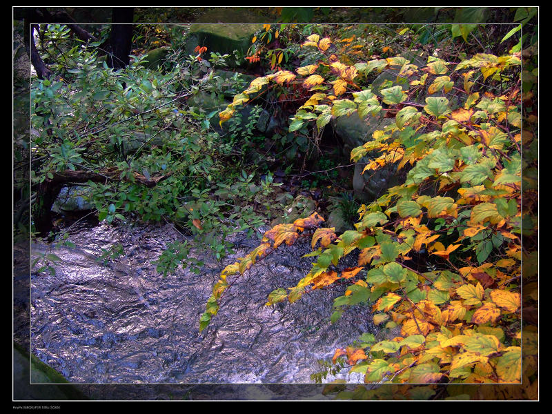 DSCF3524S.jpg
