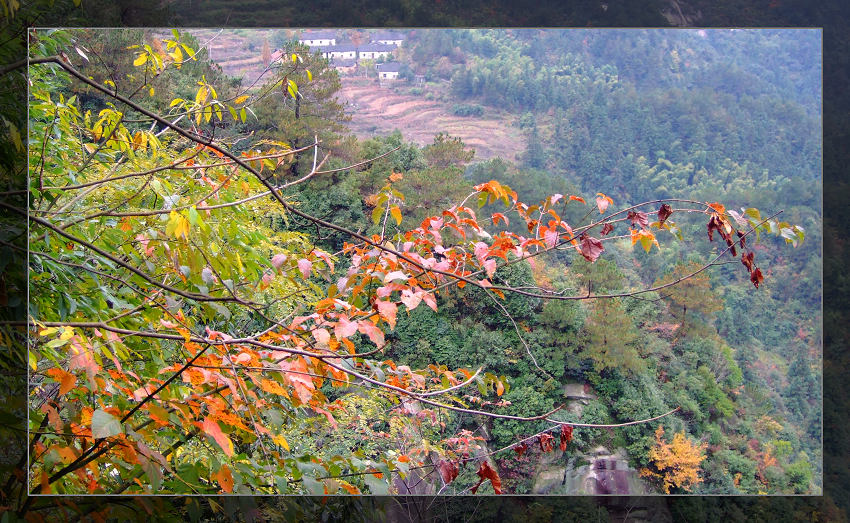 DSCF3449S.jpg