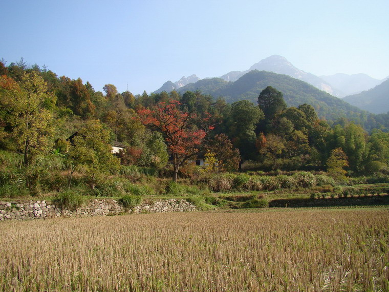 DSC01666a.JPG
