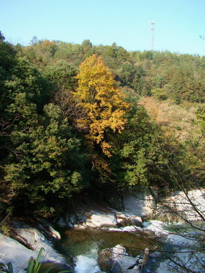 DSC01646a.JPG