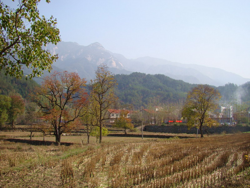 DSC01728a.JPG