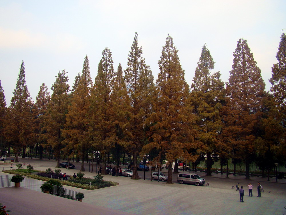 DSC02242.JPG