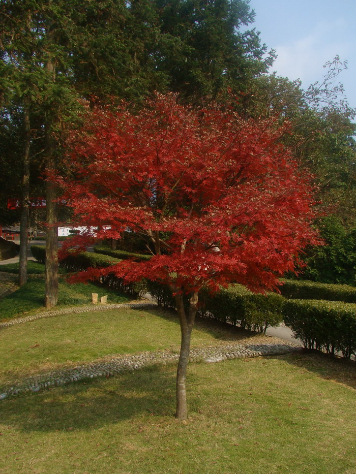 DSC02151.JPG