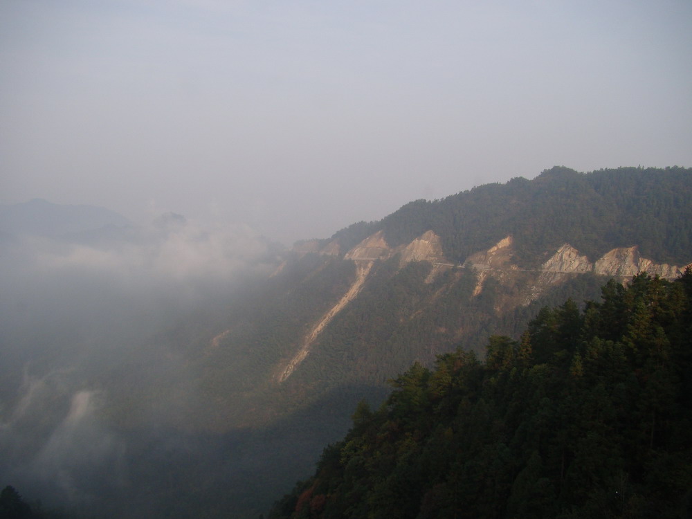 黄洋