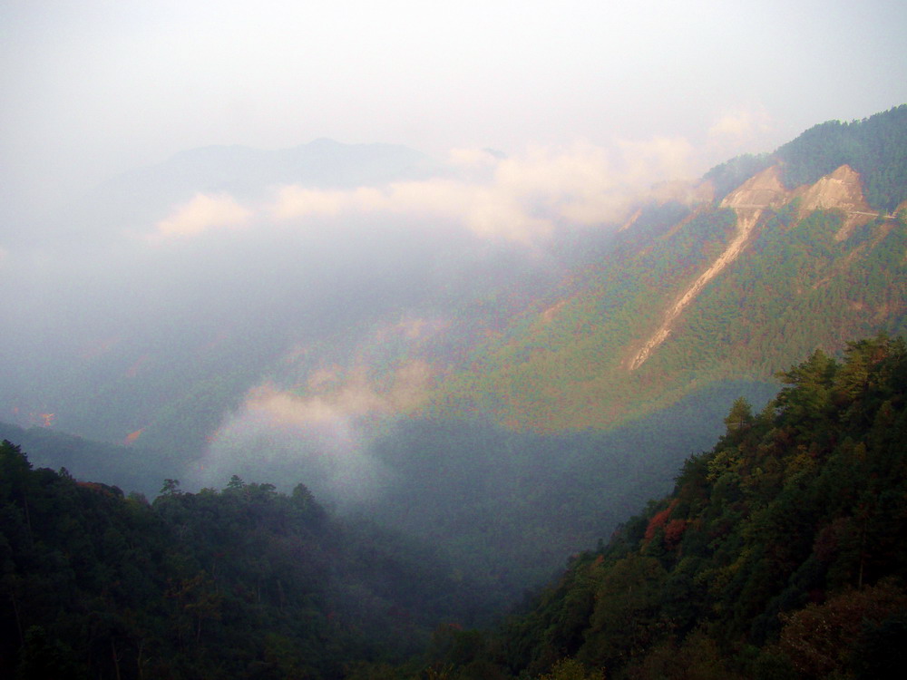 DSC02054.JPG