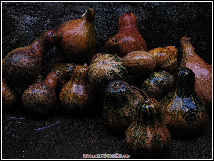 20081106_16771e38c60d843939cdWiYRbnnDPa9v.jpg