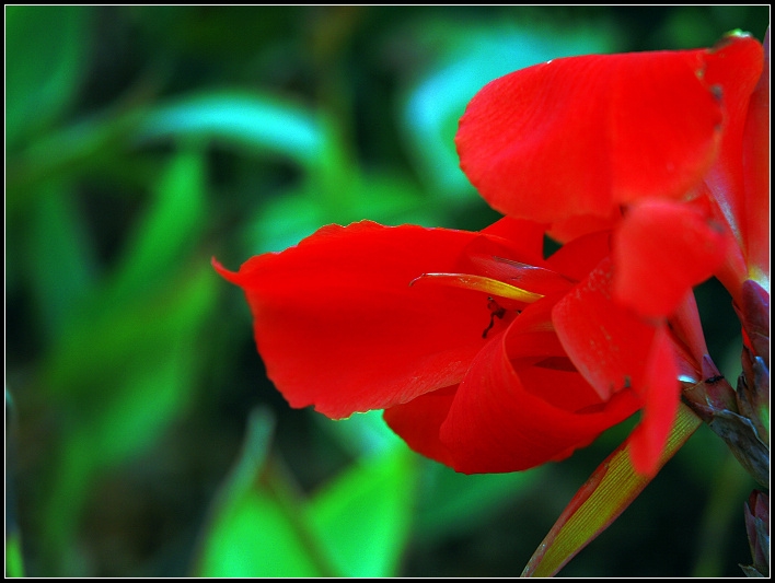 DSC_0041.jpg