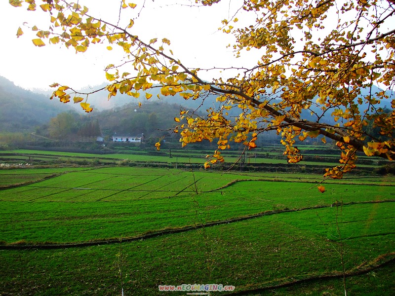 DSCF5229.JPG