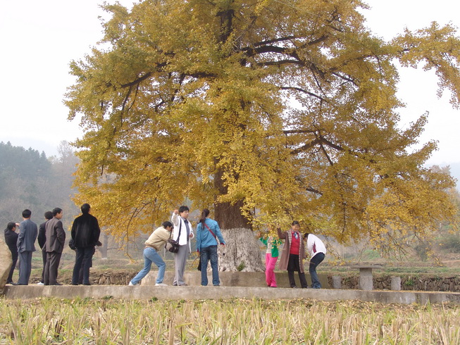 DSC07810.jpg