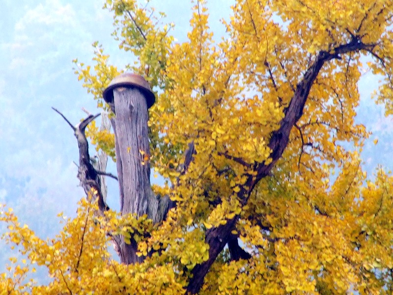 DSCF5485.JPG