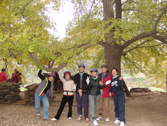 DSC08008.jpg