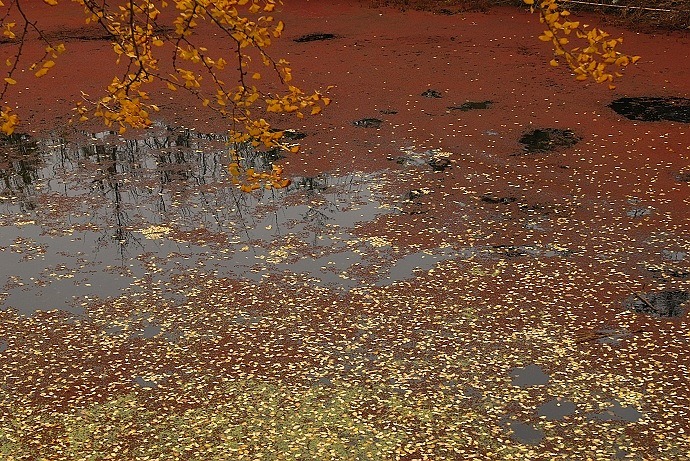 DSC_0149.jpg