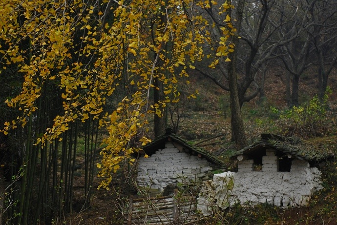 DSC_0226.jpg