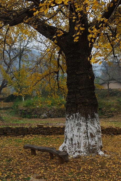 DSC_0233.jpg