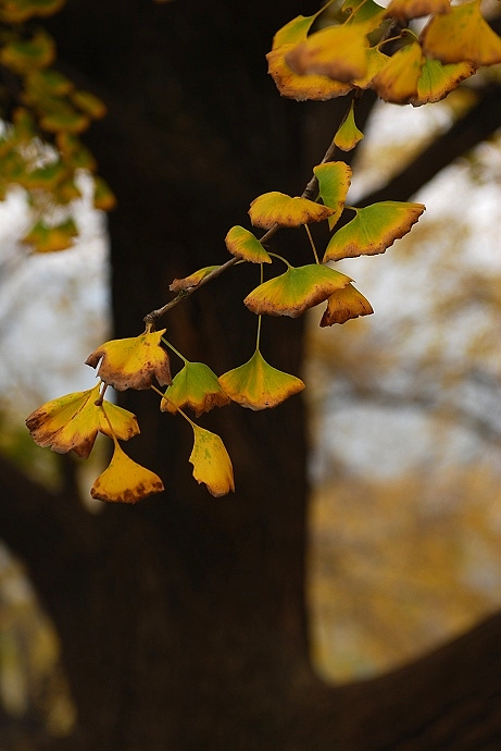 DSC_0193.jpg