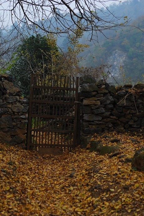 DSC_0242.jpg