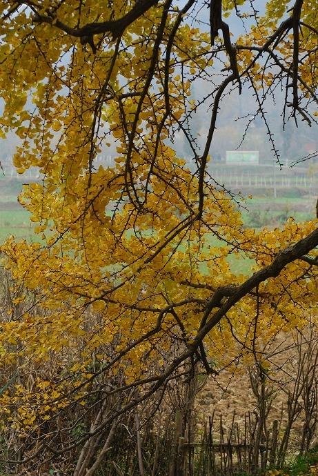DSC_0210.jpg