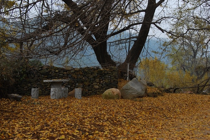 DSC_0240.jpg