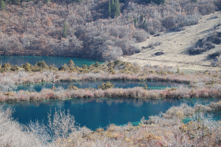 DSC_0459.jpg
