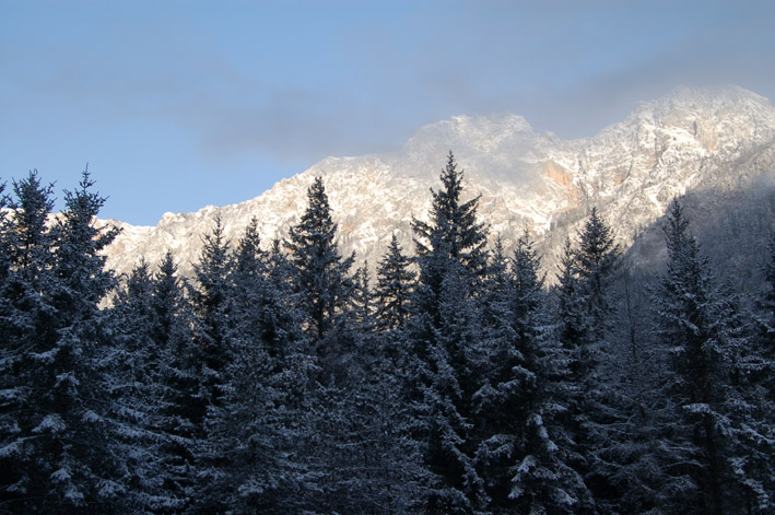 DSC_0085.jpg