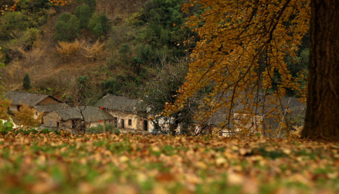 DPP_1793.JPG