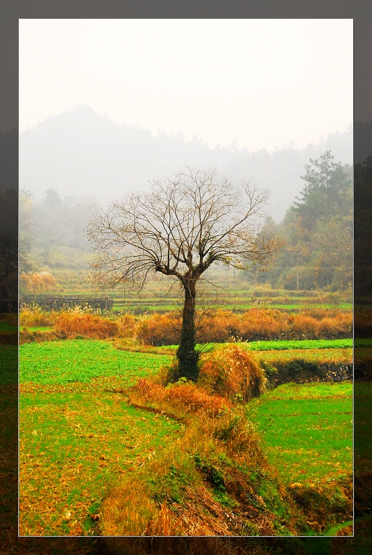 DSC_2166.jpg