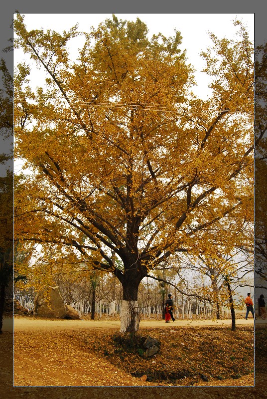 DSC_2152.jpg