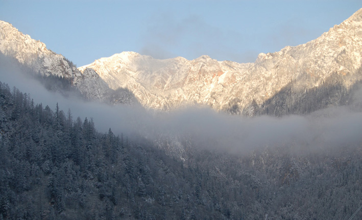 DSC_0053p.jpg