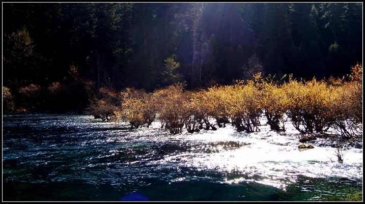 DSC_0437p.jpg