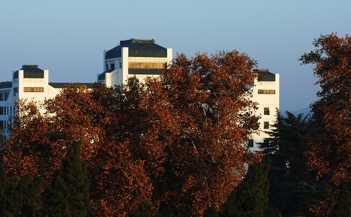 DSC_0105.jpg
